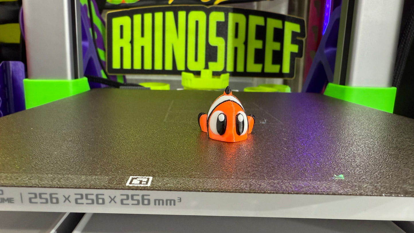 Reef Friends