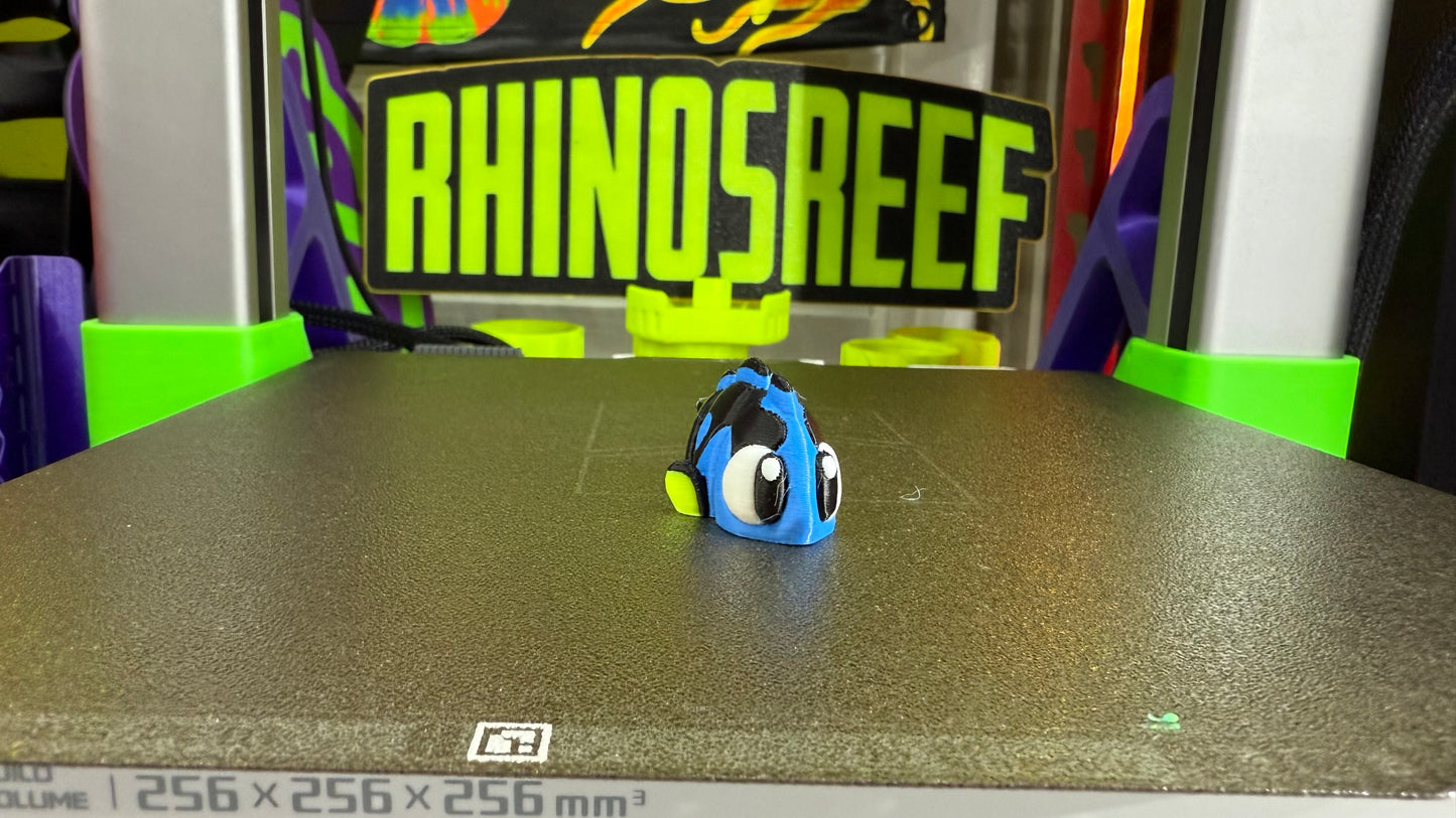 Reef Friends