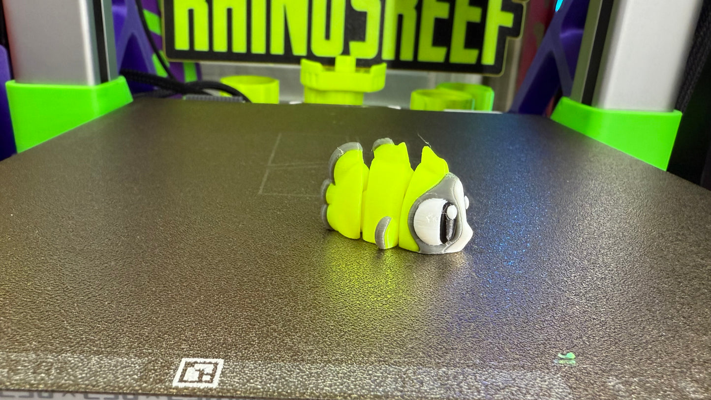 Reef Friends