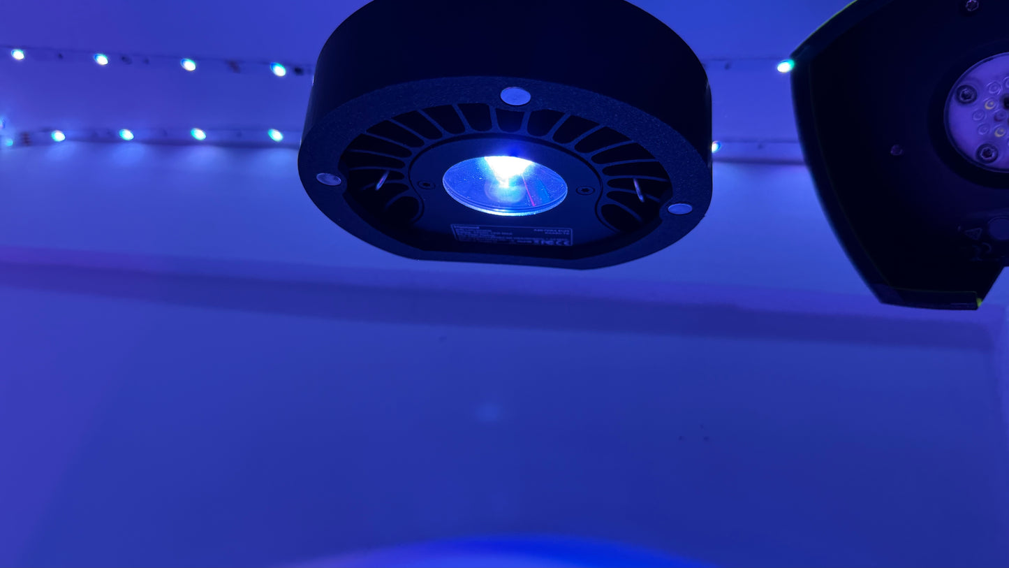 A80 Halo Shade