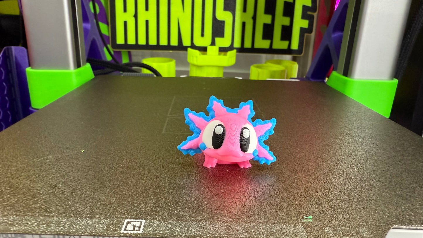 Reef Friends