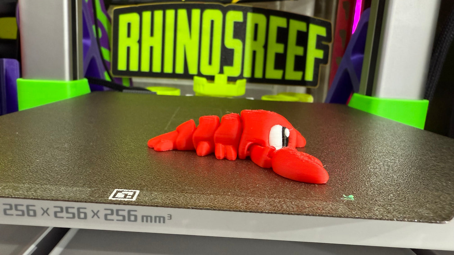 Reef Friends