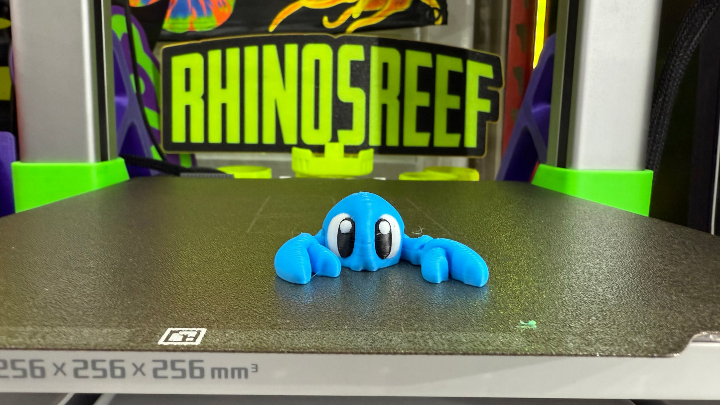 Reef Friends
