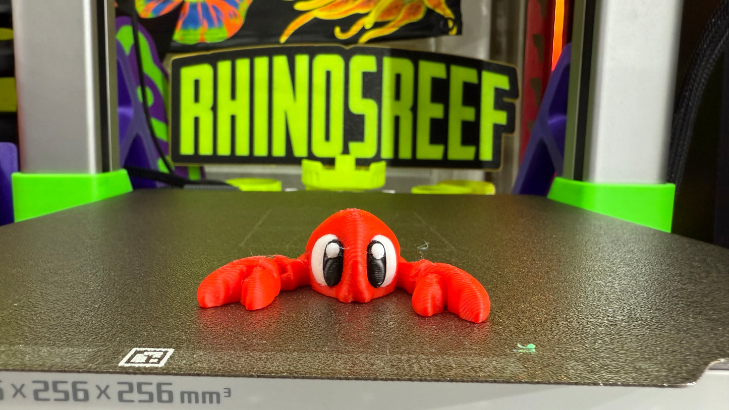 Reef Friends