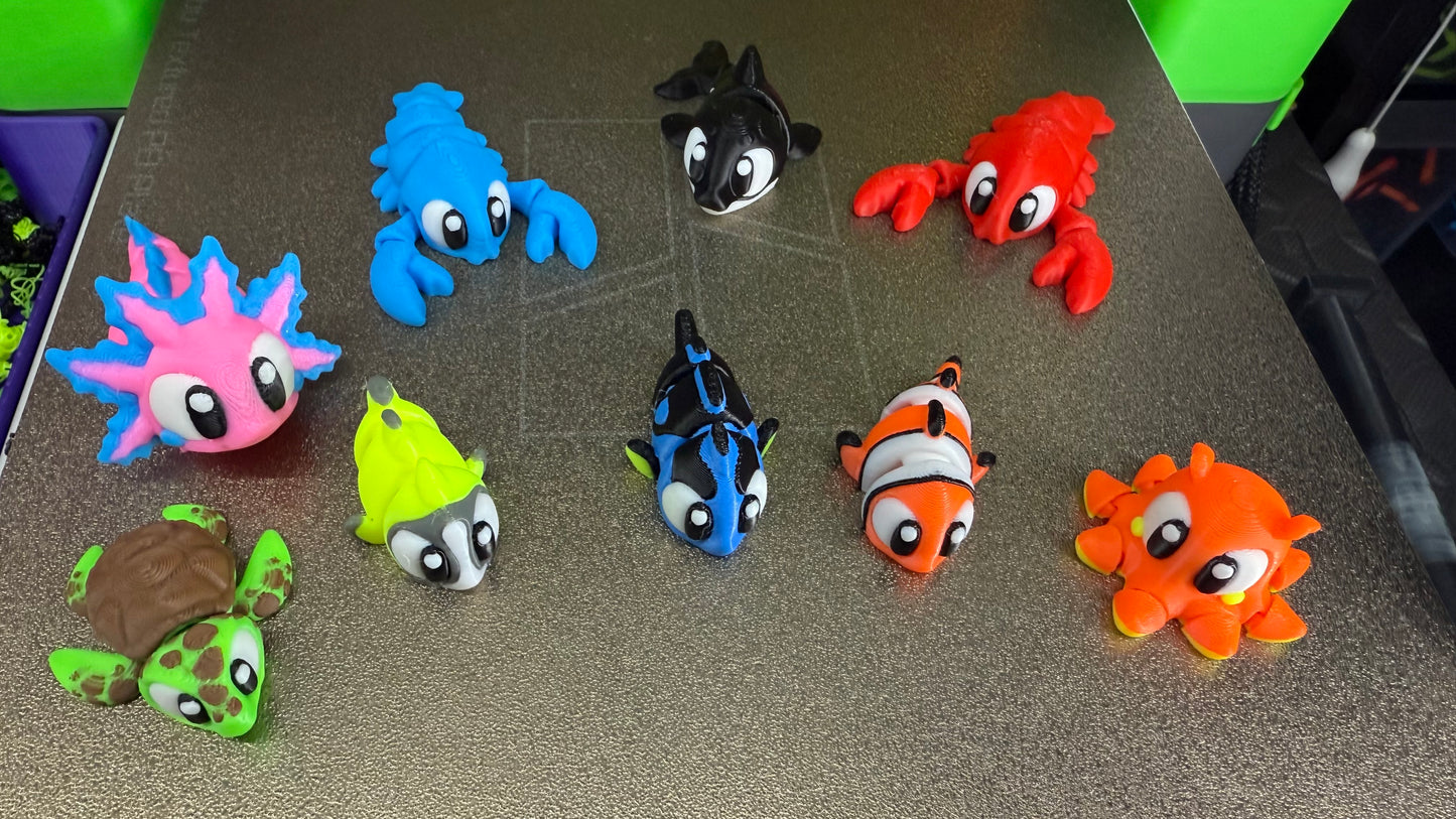 Reef Friends