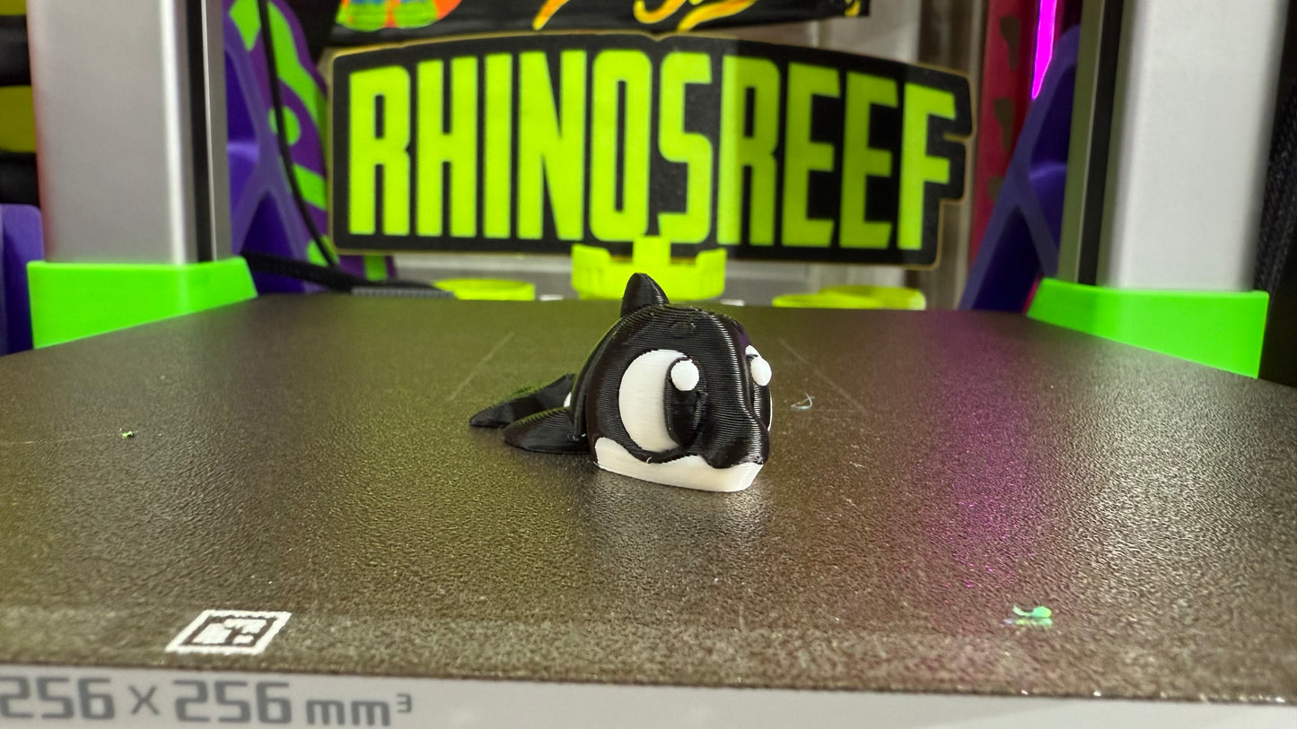 Reef Friends
