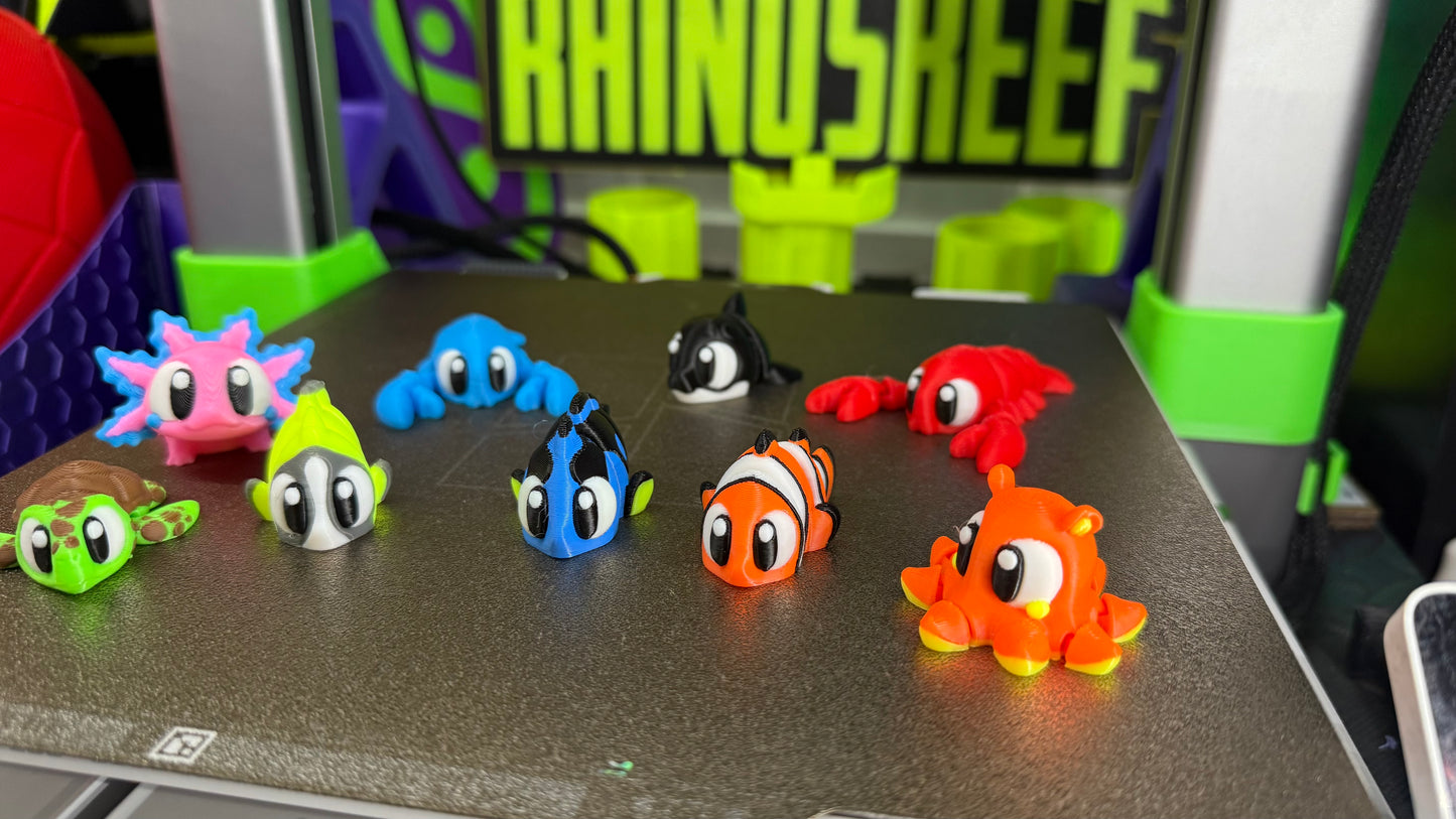 Reef Friends