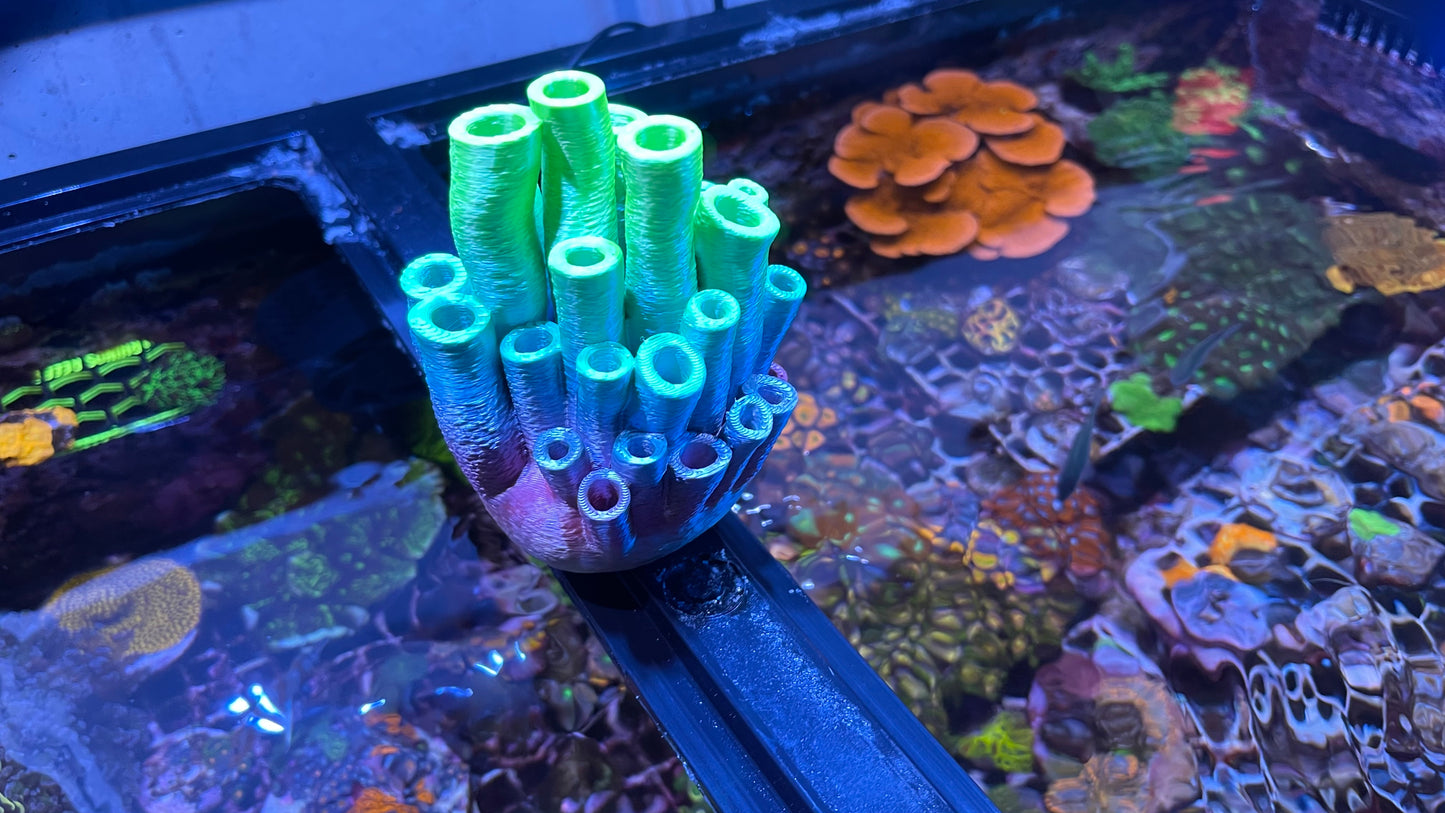 Tube Sponge