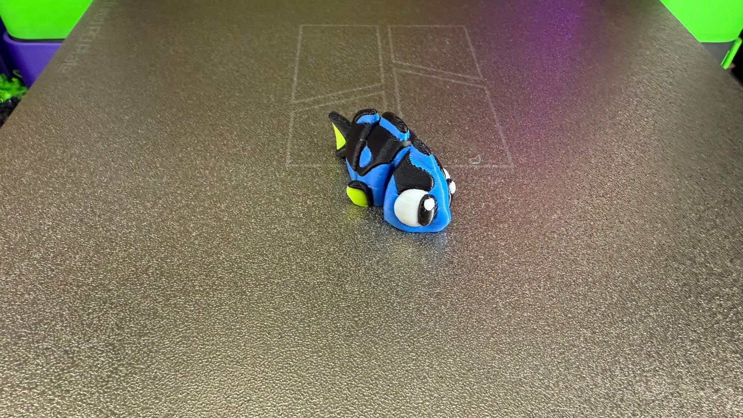 Reef Friends