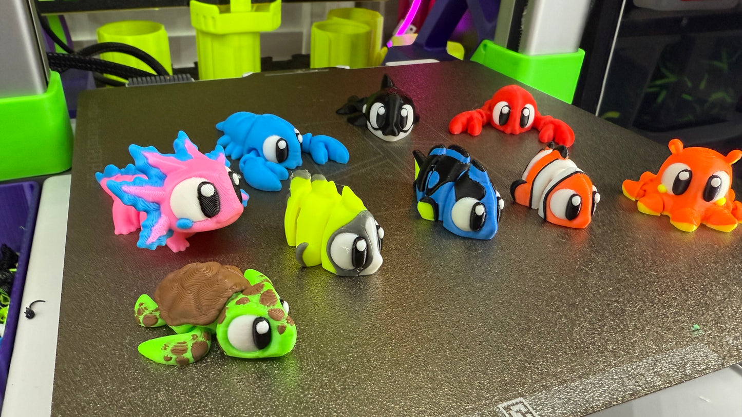 Reef Friends