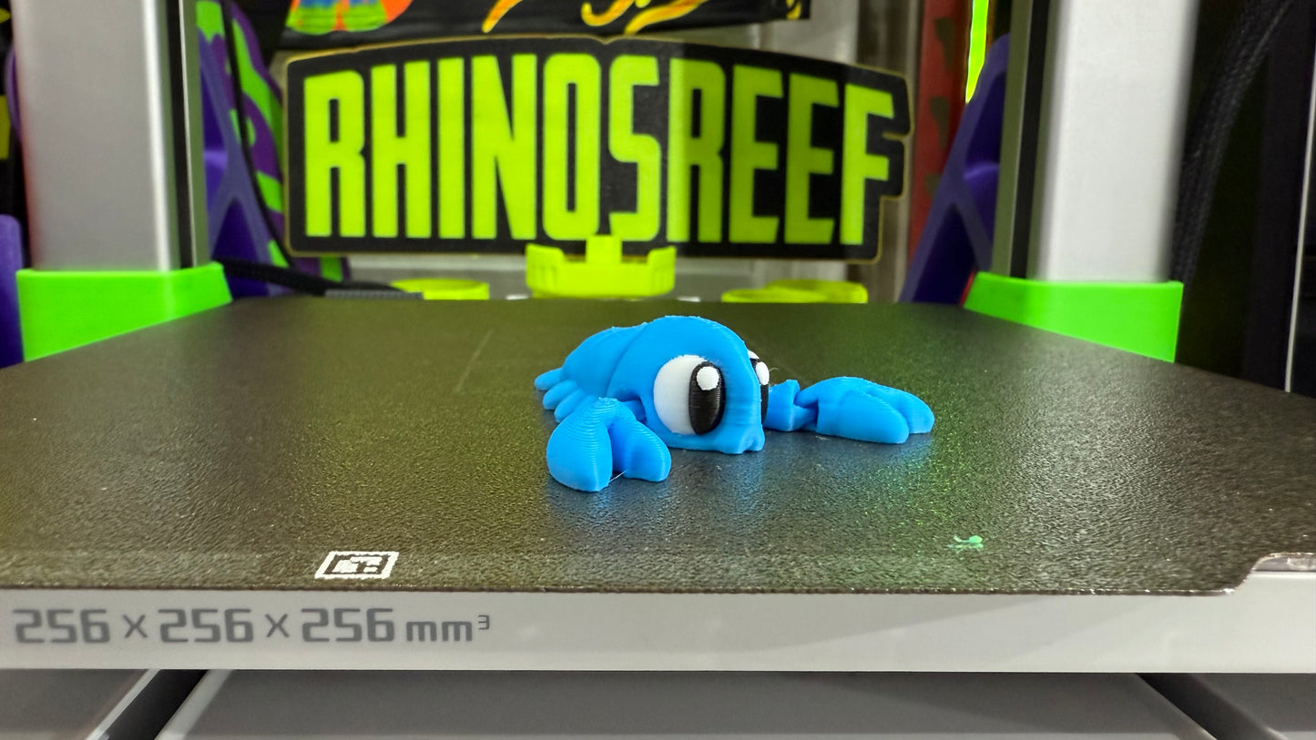 Reef Friends
