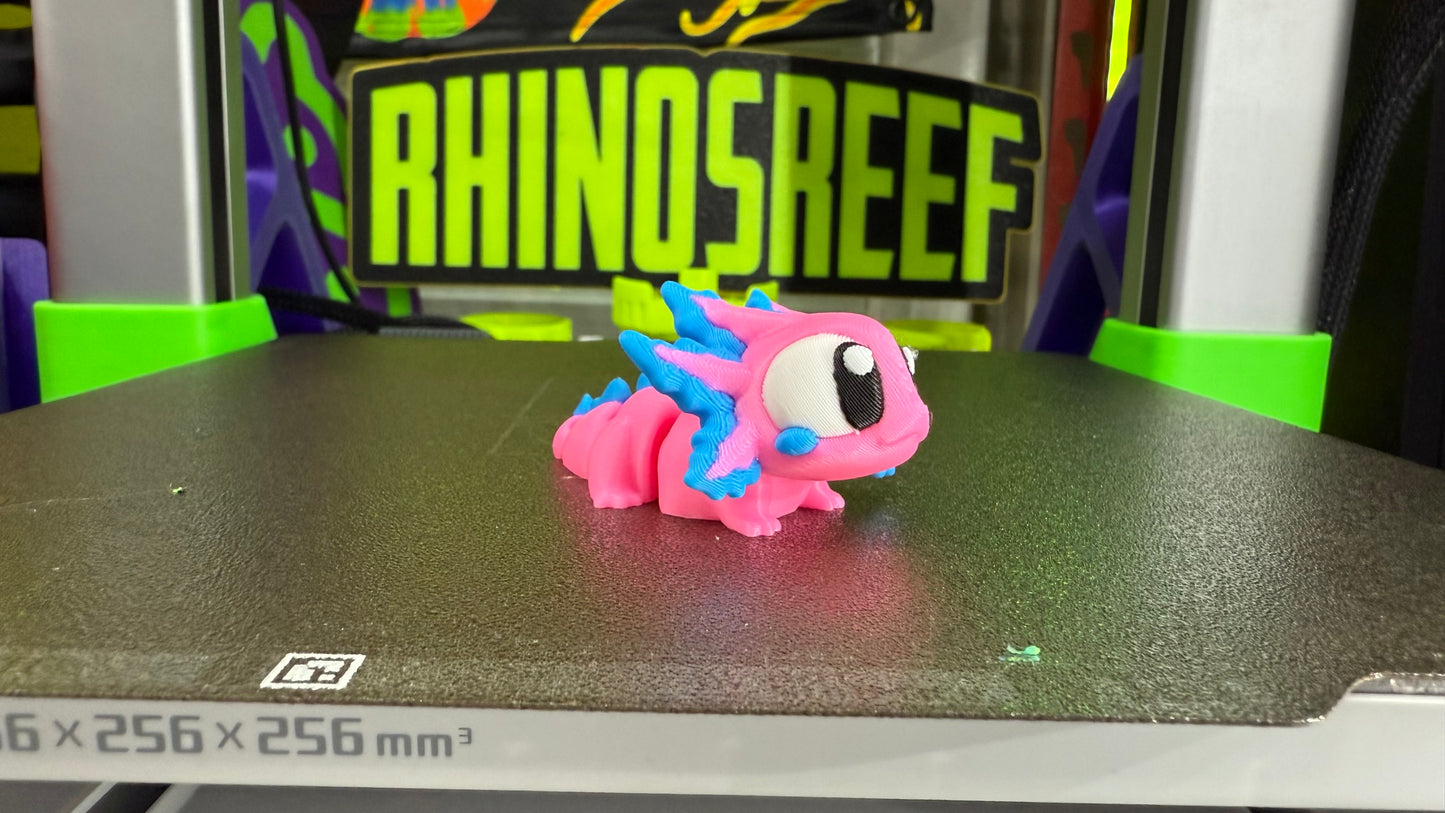 Reef Friends
