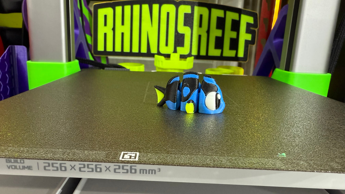 Reef Friends