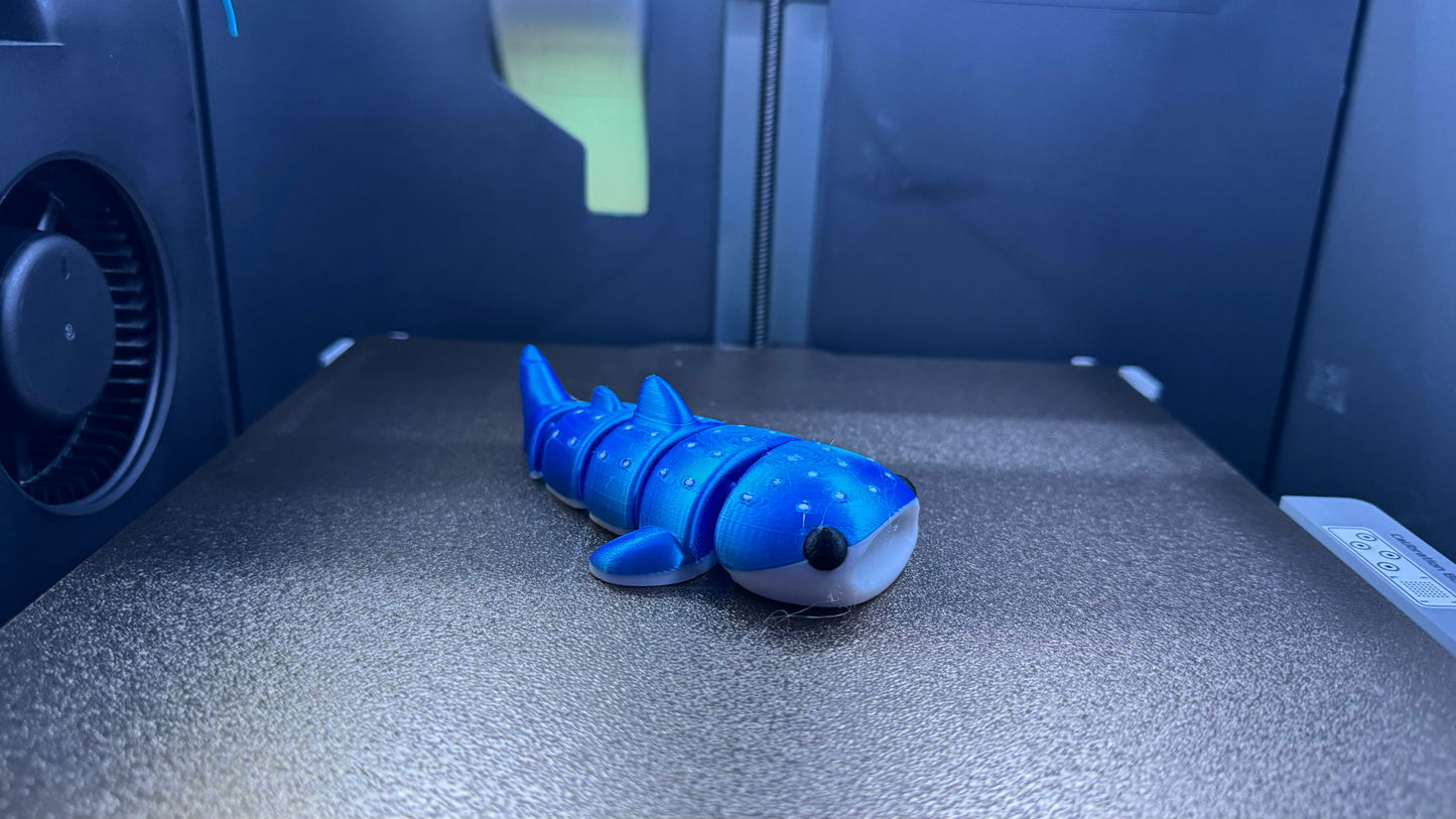 Hannah the Baby Whale Shark