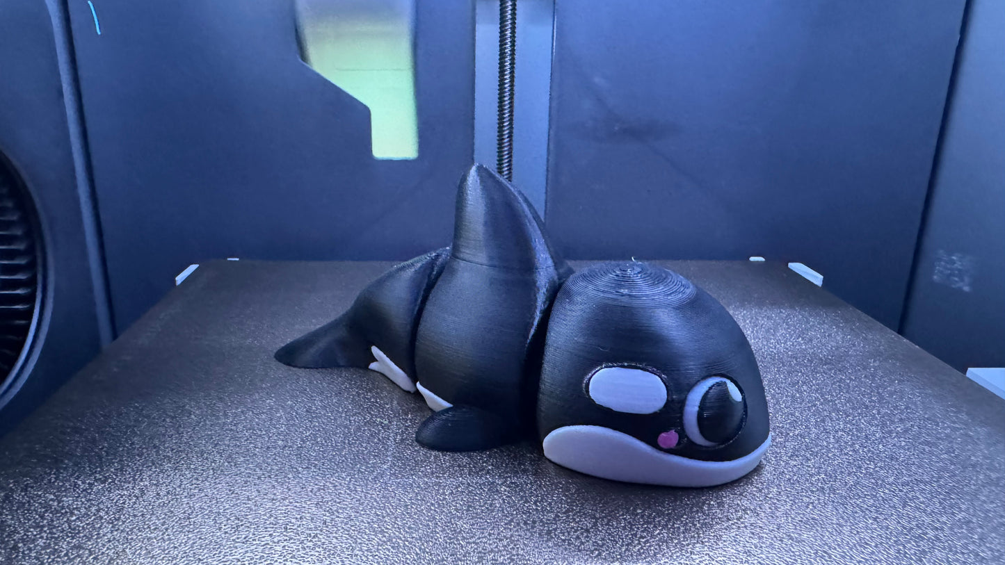 Willie the Baby Orca