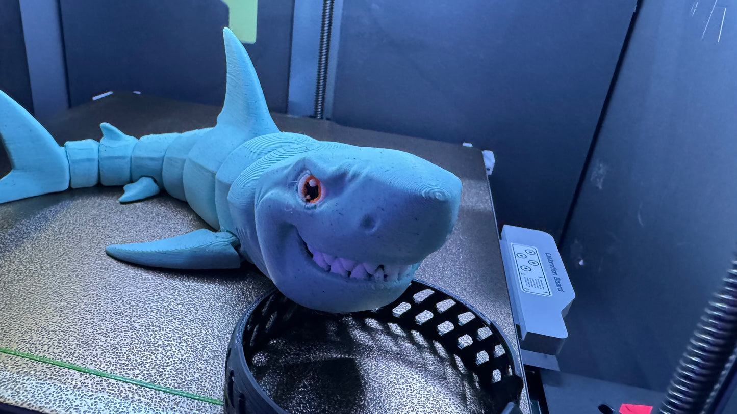 Bruce the Great White Shark
