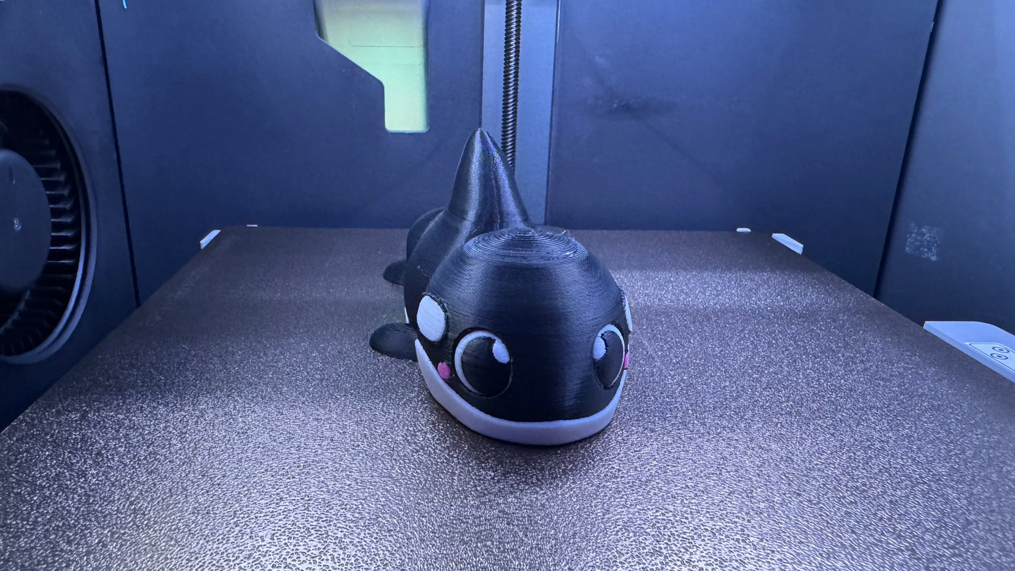 Willie the Baby Orca