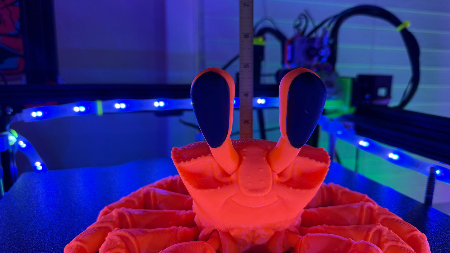 XXL GABE THE GHOST CRAB