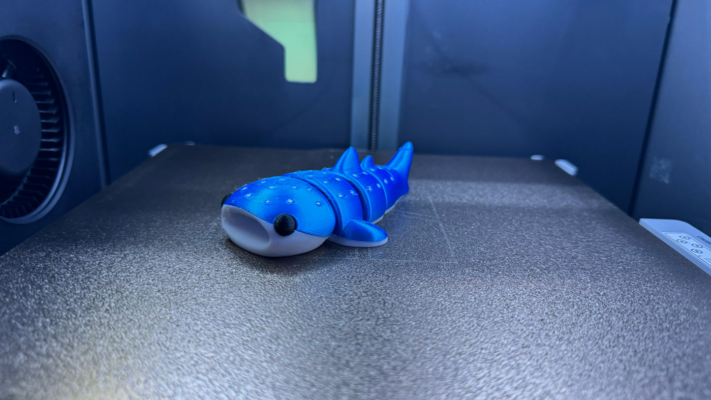 Hannah the Baby Whale Shark