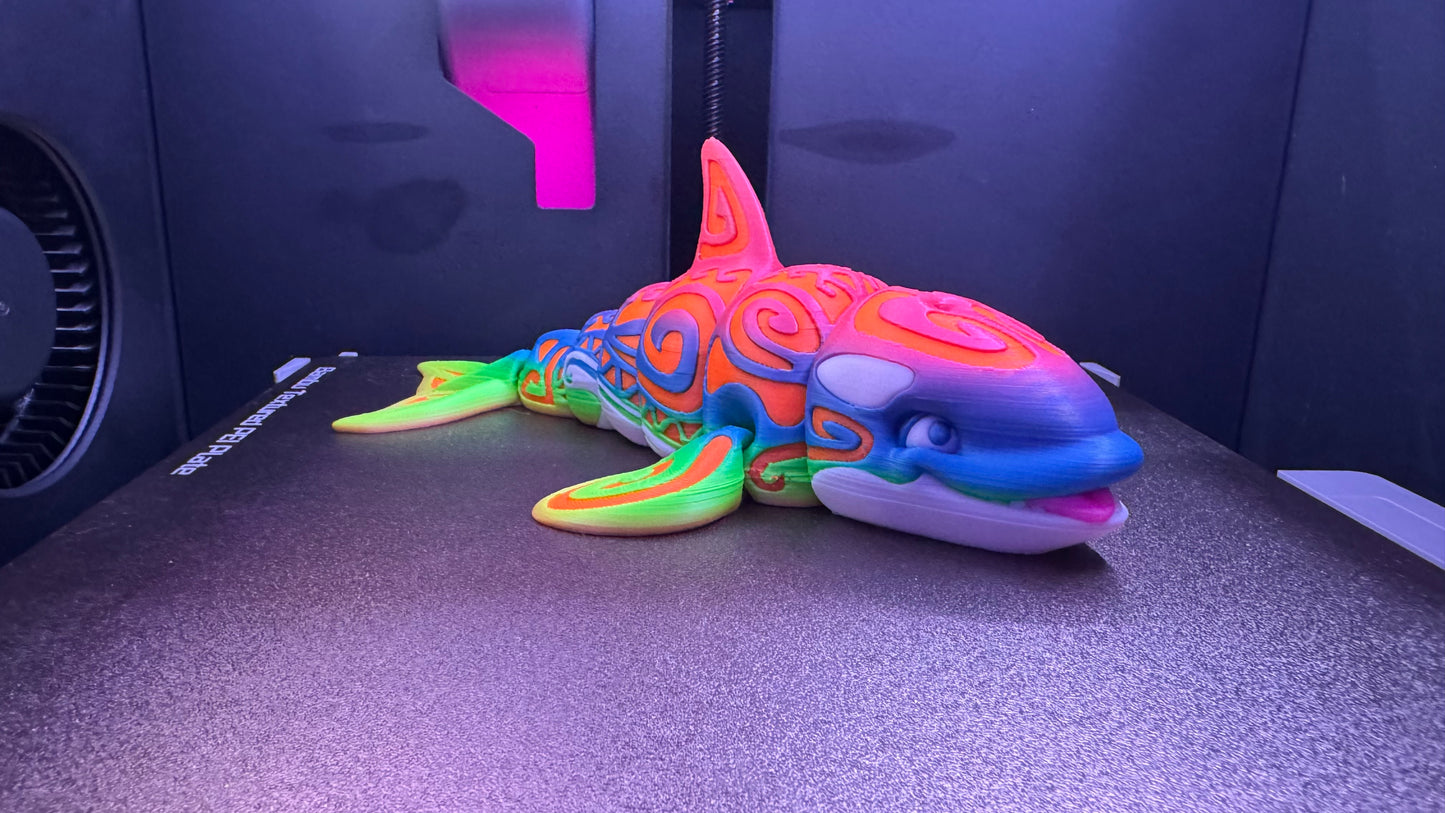 Maui the Tattooed Orca