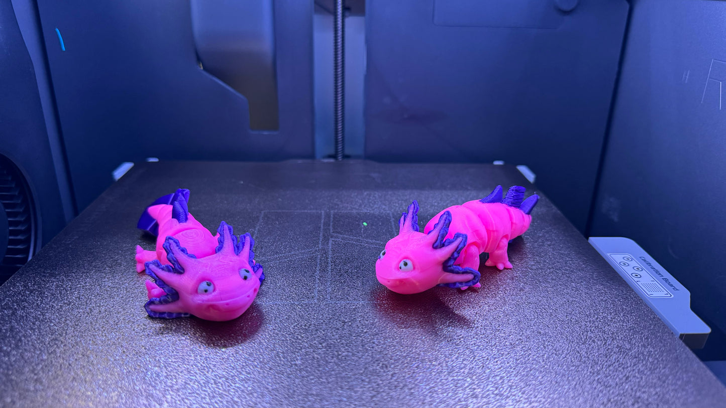 Ava the baby Axolotl (Mini)