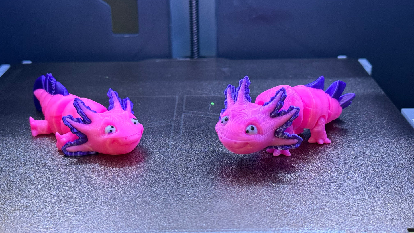 Ava the baby Axolotl (Mini)