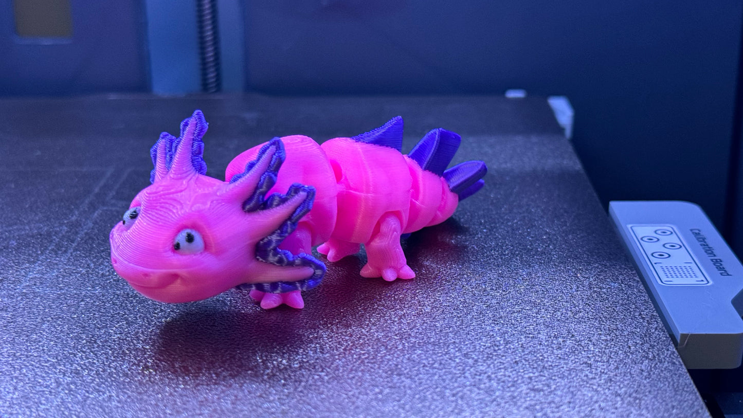 Ava the baby Axolotl (Mini)