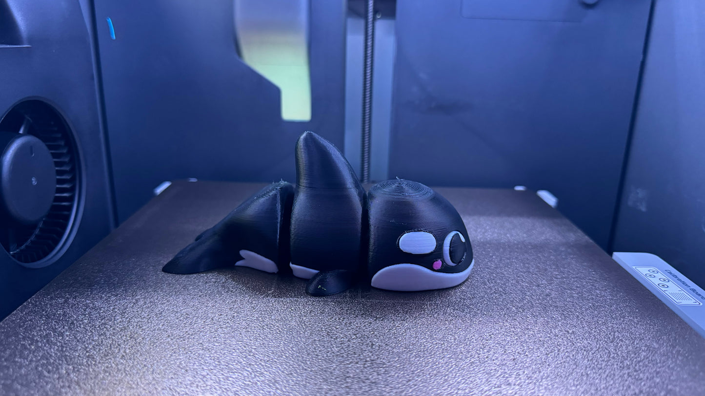 Willie the Baby Orca