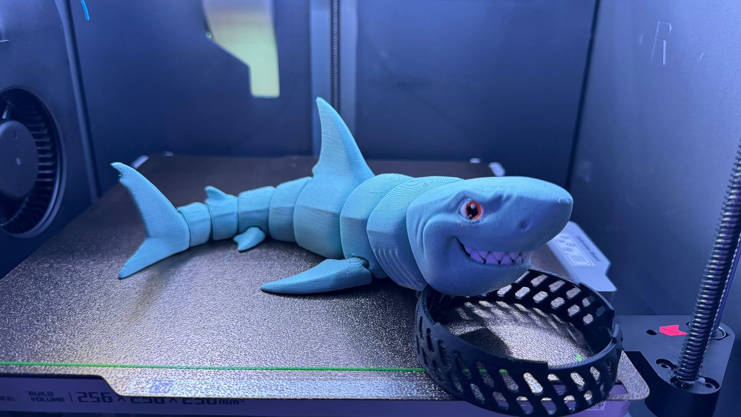 Bruce the Great White Shark
