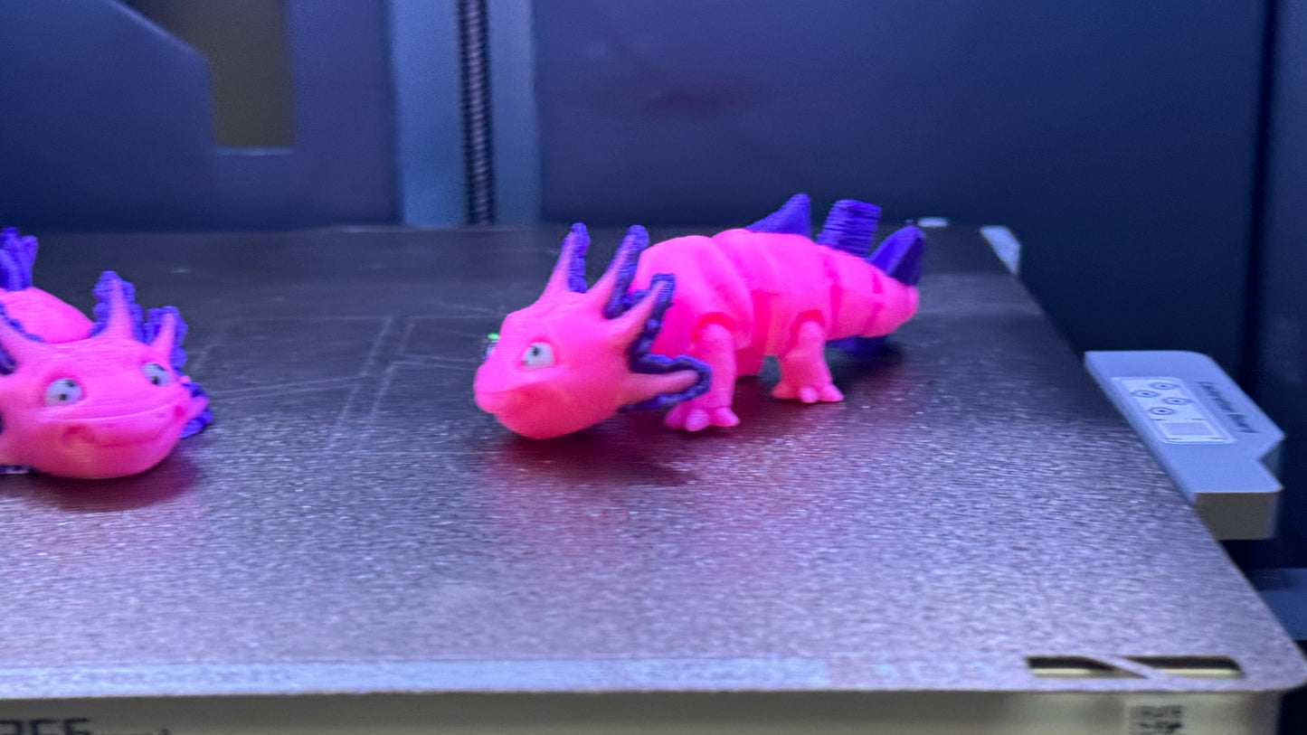Ava the baby Axolotl (Mini)