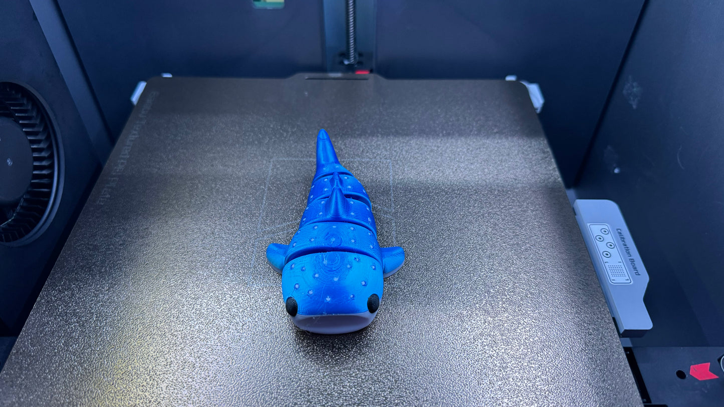 Hannah the Baby Whale Shark