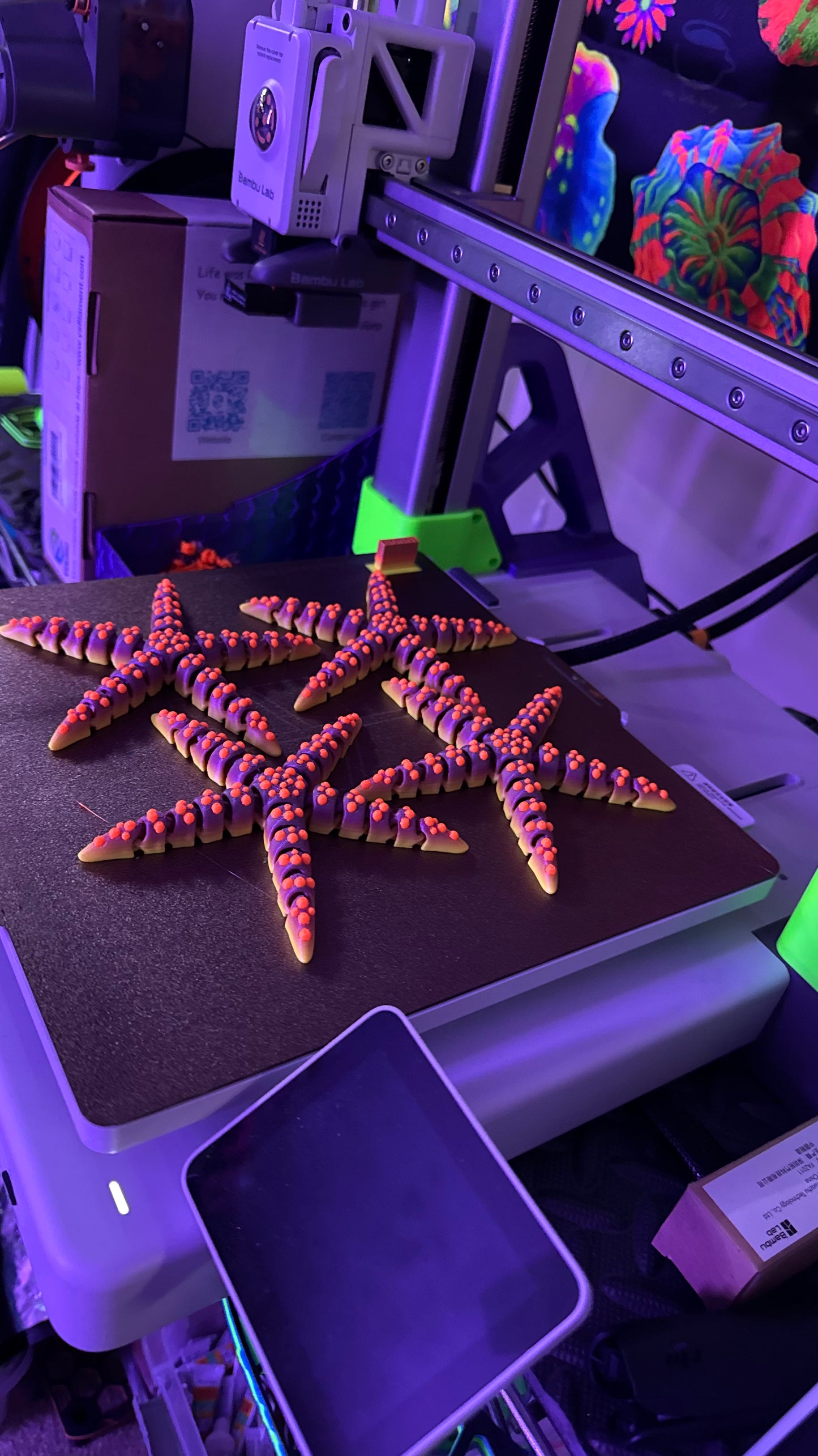 3D-Printed Articulating Starfish Flexi Toy – Lifelike Marine Toy for Collectors & Ocean Lovers | Rhino’s Reef