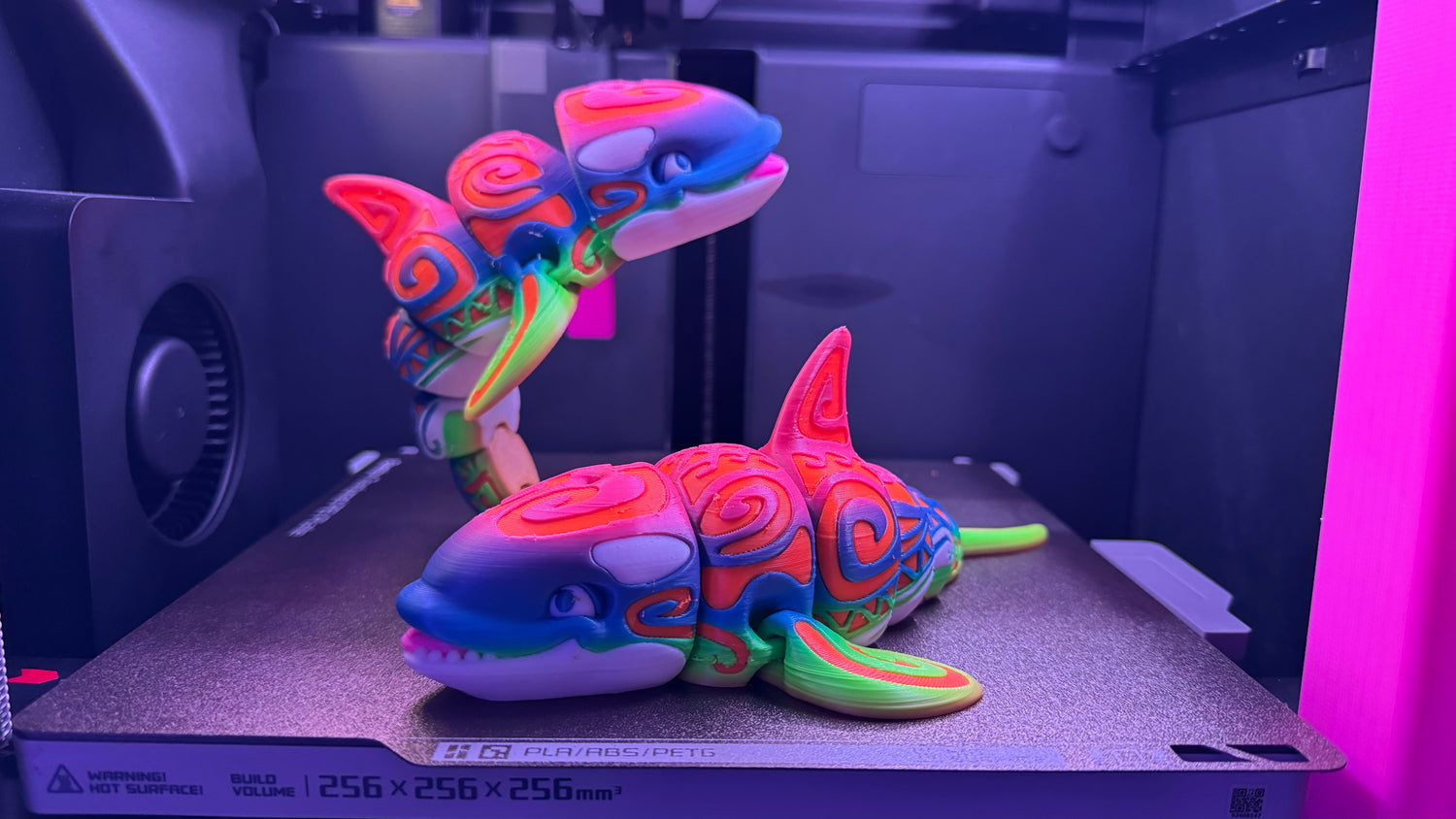 Flex Toys Collection by Rhino’s Reef