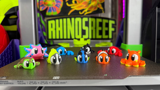 Reef Friends