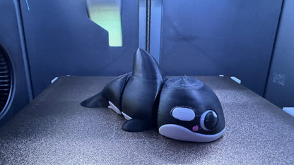 Willie the Baby Orca
