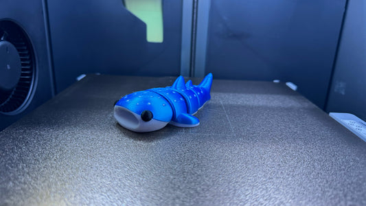 Hannah the Baby Whale Shark