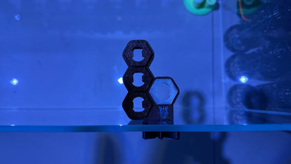 Nexus Probe-LoC – Apex Probe Holder