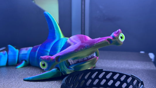 Hunter the Hammerhead Shark
