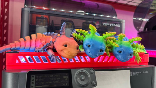 Axolotl