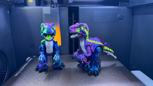 Vickey, the Velociraptor ￼