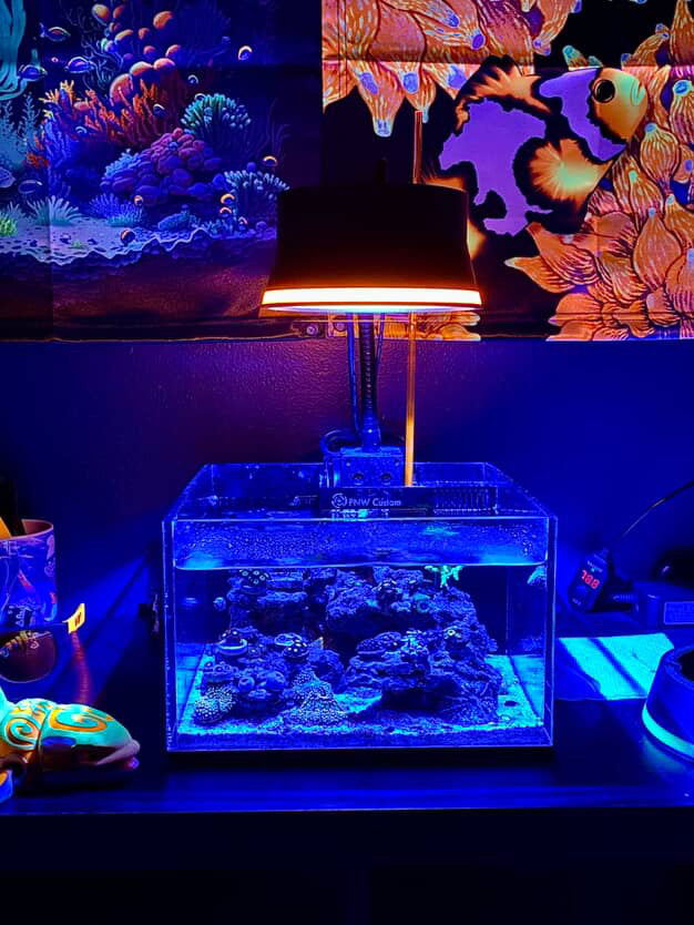 A80 Halo Shade - Kessil Light Diffuser for Reef Aquariums | Rhino's ...