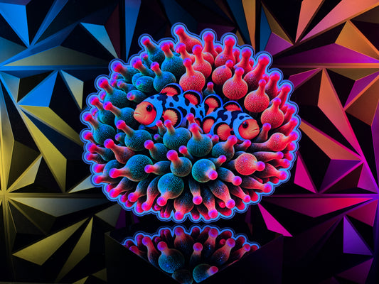 Nexus Anemone & Storm Clownfish Reef Logo Light Limited Drop