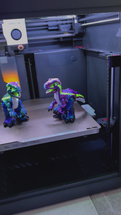 Vickey, the Velociraptor ￼