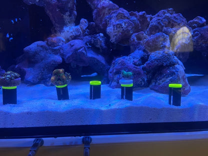 Sand Stands