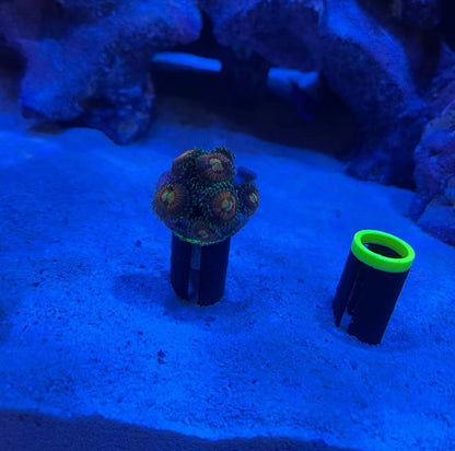 Sand Stands